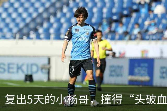 复出5天的小杨哥，撞得“头破血流”